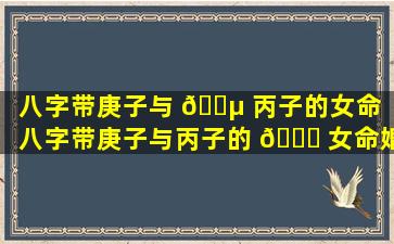 八字带庚子与 🐵 丙子的女命（八字带庚子与丙子的 🐈 女命婚姻如何）